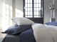 Couette duvet plumes d’oie Absolue Naturel